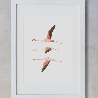 Botanisches Aquarell A3 - Flamingos-Serie