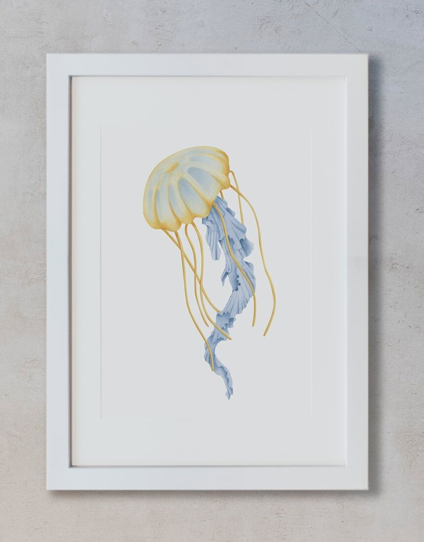 Acuarela Botánica A3 - Medusa Amarilla