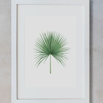 Botanisches Aquarell A4 - Palme 2