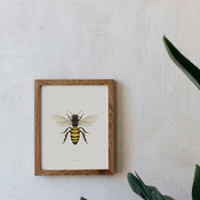 Acuarela Botánica A5 - Abeja