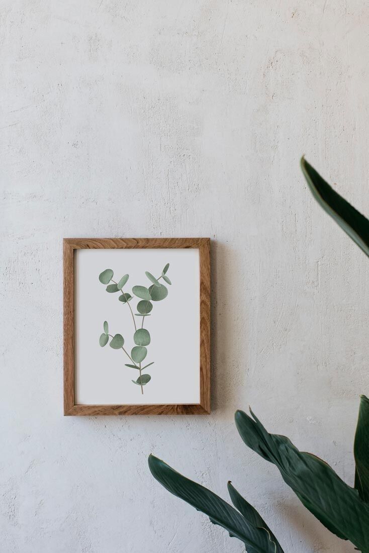 Botanisches Aquarell A5 - Eukalyptus