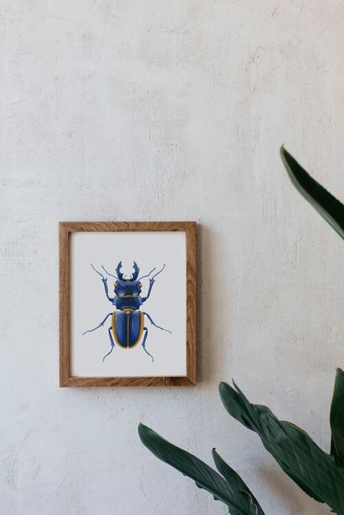 Acuarela Botánica A5 - Lucanidae