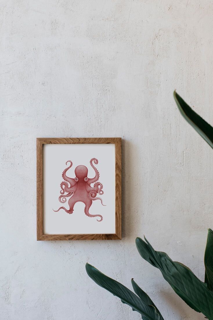 Botanical Watercolor A5 - Octopus