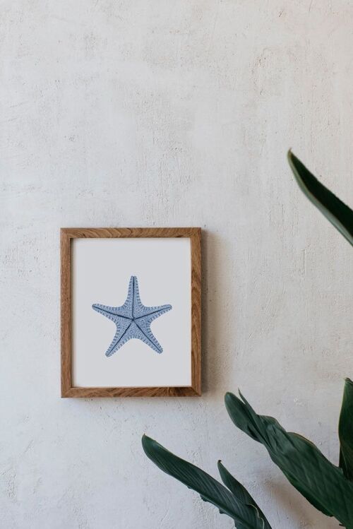 Dibujo Acuarela A5 - Estrella de mar
