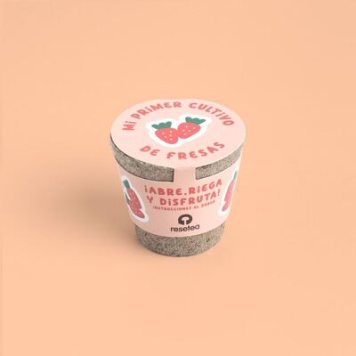My first crops. Strawberry kit