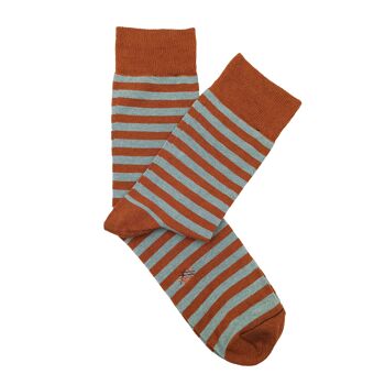 Chaussettes basses Miss Fine Stripe Acaccio Marron 2