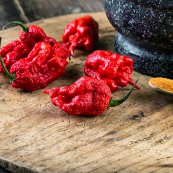 Carolina Reaper 3