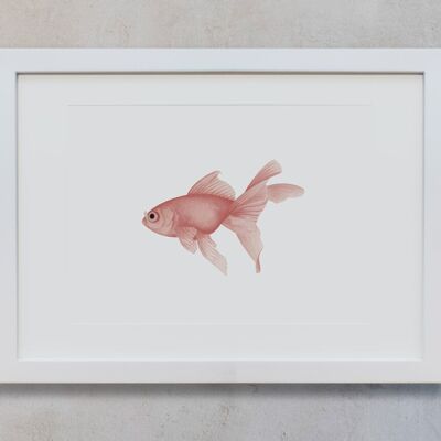Aquarelle Botanique A3 - Poisson Rose