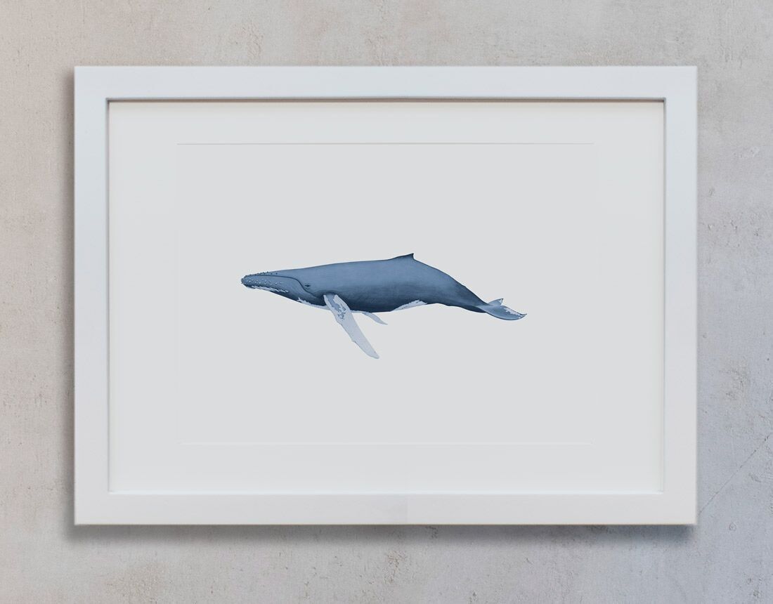 Acquerello botanico A4 - Balena