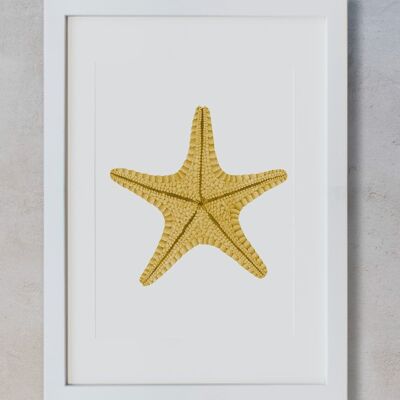 Acuarela Botánica A4 - Estrella de mar amarilla