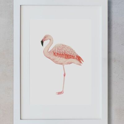 Botanisches Aquarell A4 - Flamingo