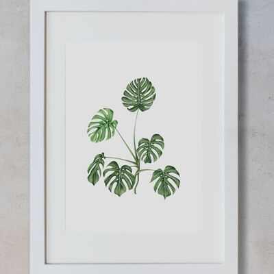 Botanisches Aquarell A4 - Monstera