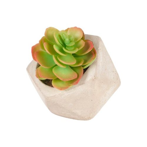 Succulente Artificielle Echeveria en Pot