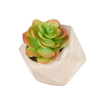 Künstliche Sukkulente Echeveria im Topf