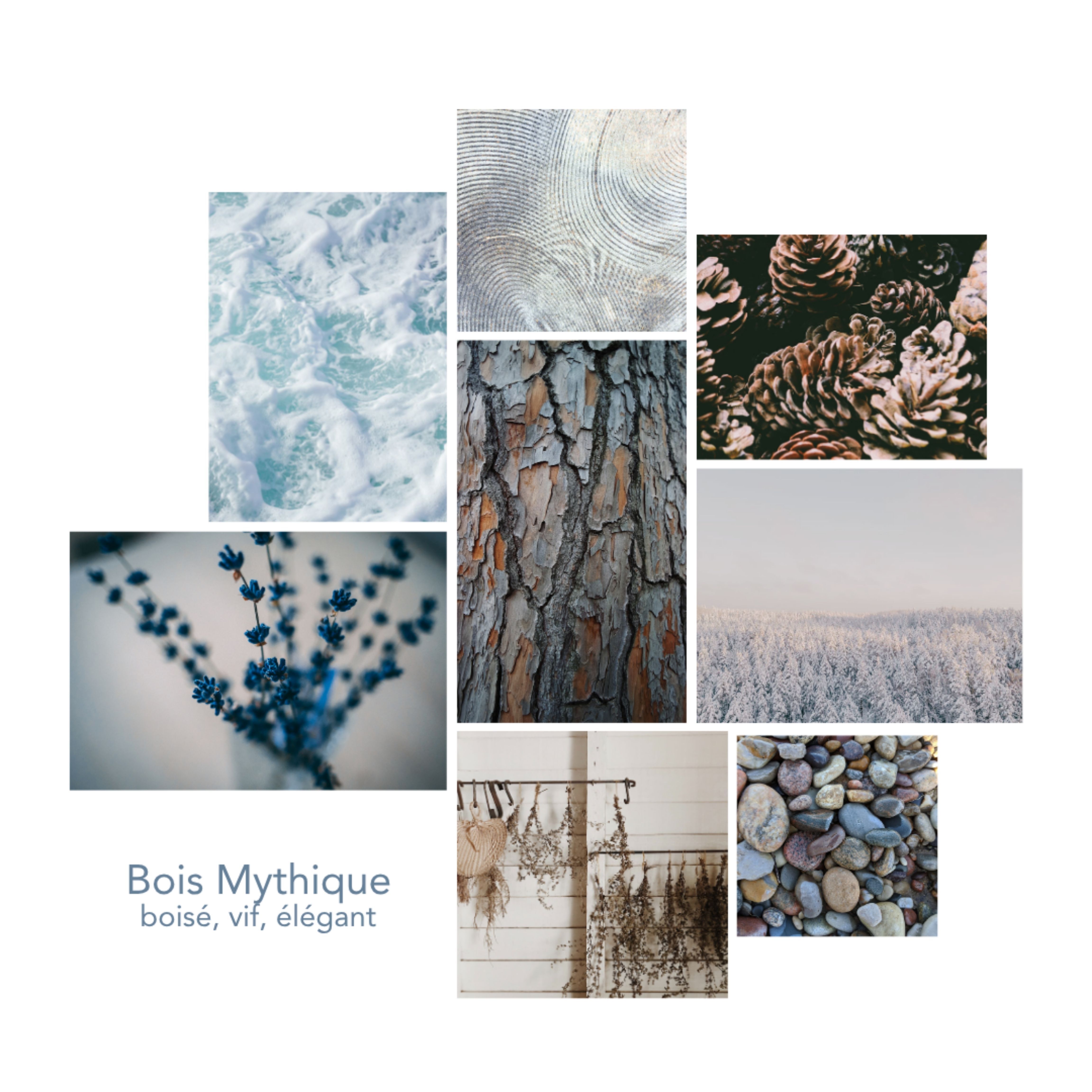 Concentré de parfum Bois Mythique 30mL