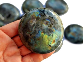 Pierre de palme labradorite (50mm -70mm) 4