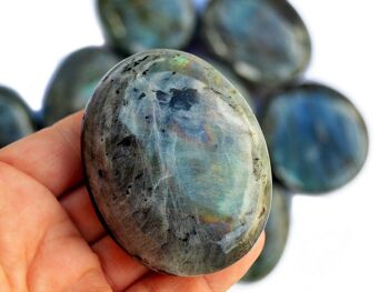 Pierre de palme labradorite (50mm -70mm) 11