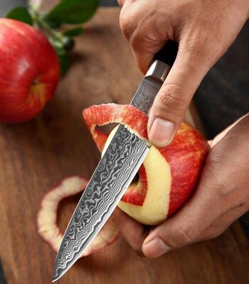 Couteau à légumes Xinzuo Damas - Série B20 Ya 3