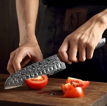 Couteau Santoku Xinzuo Damas - Série B20 Ya 5