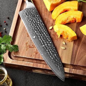 Couteau de chef Xinzuo Damas (10 pouces) - Série B13D Yu 4