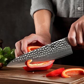 Couteau de chef Xinzuo Damas (8 pouces) - Série B13D Yu 6