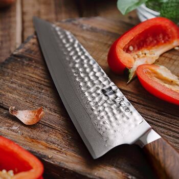 Couteau de chef Xinzuo Damascus SRS13 - Série B32D Feng 3