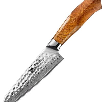 Xinzuo Damascus SRS13 Gemüsemesser – B32D Feng-Serie