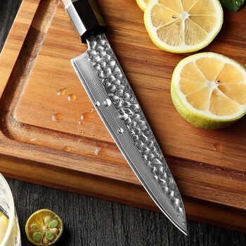 Couteau à légumes Xinzuo Damas - Série PM8 Zhen 5