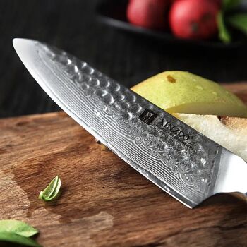 Couteau à légumes Xinzuo Damas - Série B13H Yu 3
