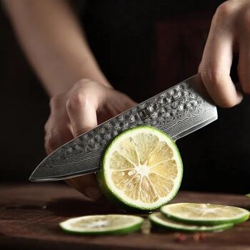 Couteau à légumes Xinzuo Damas - Série B13H Yu 6