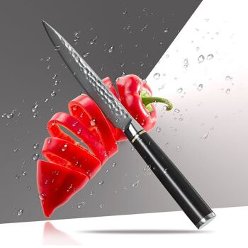 Couteau à légumes HEZHEN Damas - Série B1Z Classic 5