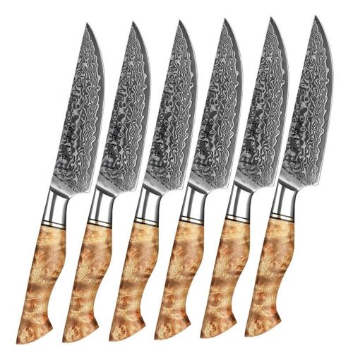 HEZHEN Damascus Steakmessenset - B30 Master Series