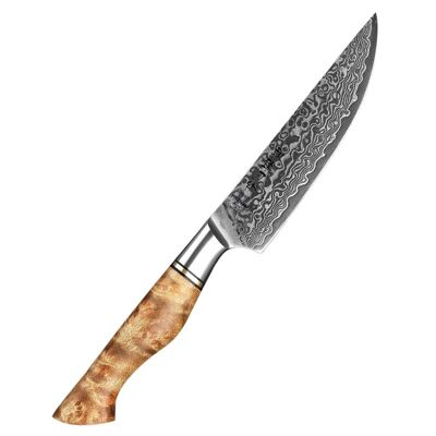 Coltello da bistecca in Damasco HEZHEN - Serie B30 Master