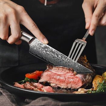 Couteau à steak HEZHEN Damas - Série B30 Master 4
