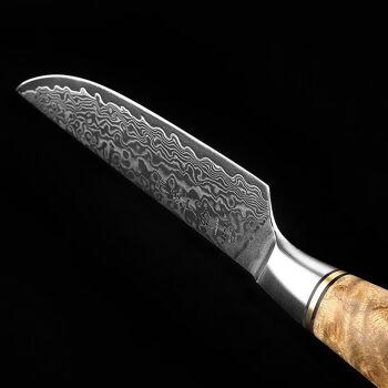 Couteau à steak HEZHEN Damas - Série B30 Master 5