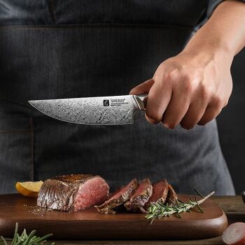 Couteau à steak - Série Jiang B46D 4