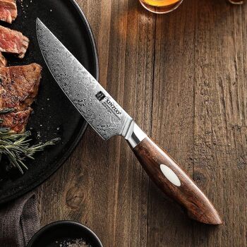 Couteau à steak Xinzuo Damas - Série B46D Jiang 3