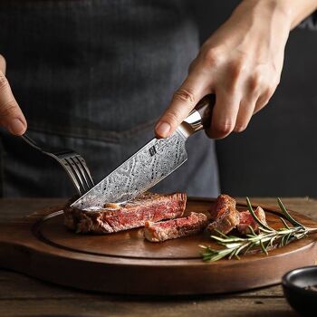 Couteau à steak Xinzuo Damas - Série B46D Jiang 5