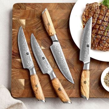 Couteau à steak - Série B37 Lan 3