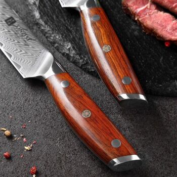 Couteau à steak - Série B27 Yi 2