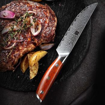 Couteau à steak - Série B27 Yi 4