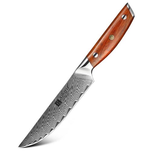 Xinzuo Damascus Steakmes - B27 Yi Series