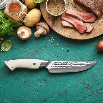 Coffret de 4 couteaux à steak - Série Elégante B38H 3