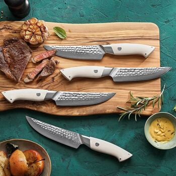 Coffret de 4 couteaux à steak - Série Elégante B38H 6