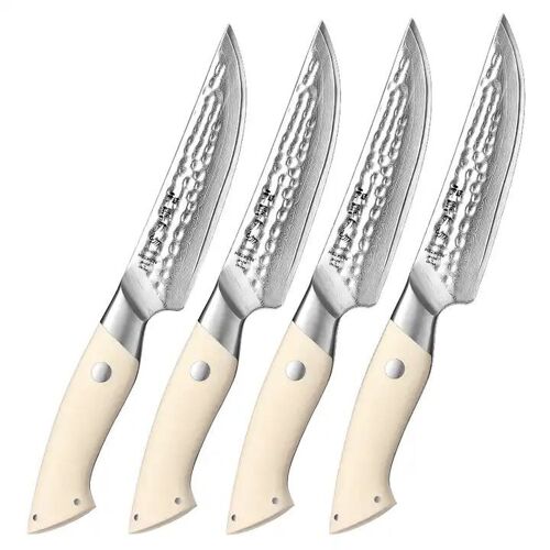 HEZHEN Damascus Set van 4 Steakmessen - B38H Elegant Series