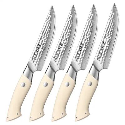HEZHEN Damasco Juego de 4 cuchillos para carne - Serie Elegante B38H