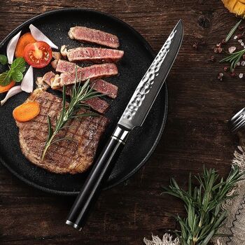 Couteau à steak - Série Classique B1Z 5