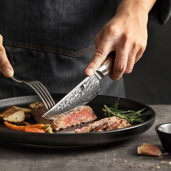 Ensemble de 4 couteaux à steak - Série Jiang B46W 6