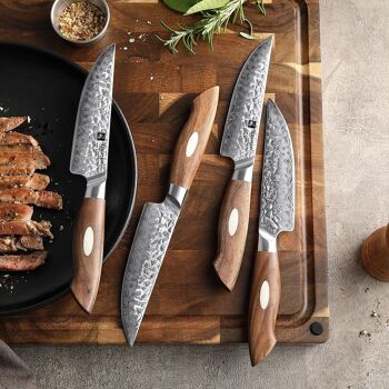 Ensemble de 4 couteaux à steak - Série Jiang B46W 7