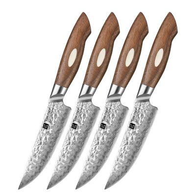 Juego de 4 cuchillos para carne Xinzuo Damascus - Serie B46W Jiang